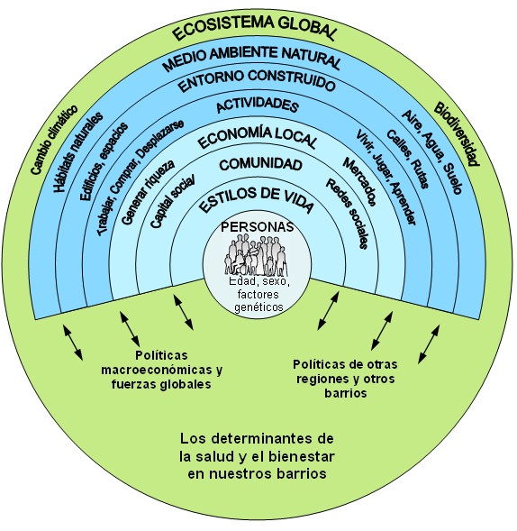 Local Human Habitat - Detalle de los determinantes sociales de la salud y el bienestar que actúan a nivel comunitario